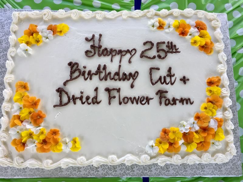 Delicious cake made by Affairs in Creemore